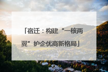 宿迁：构建“一核两翼”护企优商新格局
