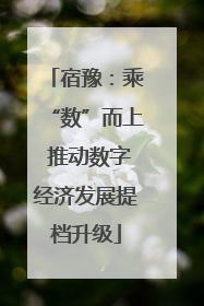 宿豫：乘“数”而上 推动数字经济发展提档升级