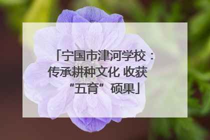 宁国市津河学校：传承耕种文化 收获“五育”硕果