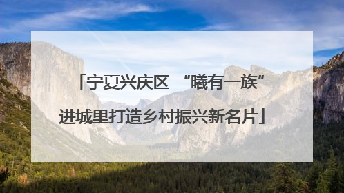 宁夏兴庆区 “曦有一族”进城里打造乡村振兴新名片