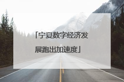 宁夏数字经济发展跑出加速度