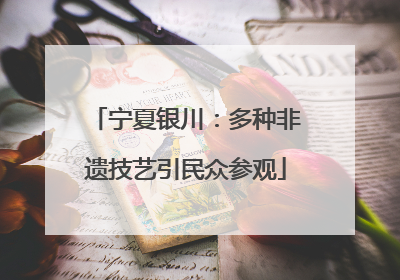 宁夏银川：多种非遗技艺引民众参观