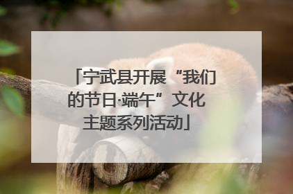 宁武县开展“我们的节日·端午”文化主题系列活动