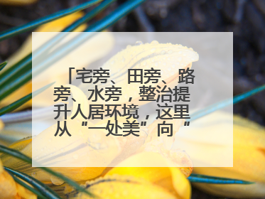 宅旁、田旁、路旁、水旁，整治提升人居环境，这里从“一处美”向“全域美”蝶变
