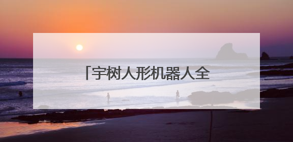 宇树人形机器人全球“格斗秀”，AI“拳王”硬核破圈