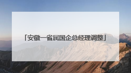 安徽一省属国企总经理调整