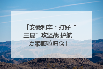 安徽利辛：打好“三夏”攻坚战 护航夏粮颗粒归仓