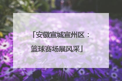 安徽宣城宣州区：篮球赛场展风采
