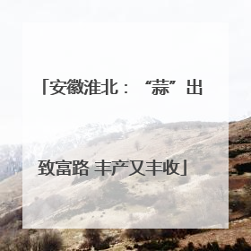 安徽淮北：“蒜”出致富路 丰产又丰收