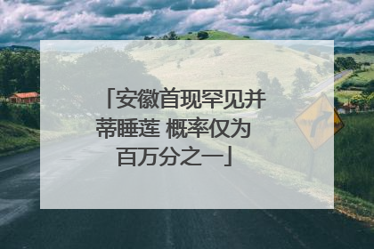 安徽首现罕见并蒂睡莲 概率仅为百万分之一
