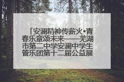 安澜精神传薪火•青春乐章颂未来——芜湖市第二中学安澜中学生管乐团第十二届公益展演圆满举行