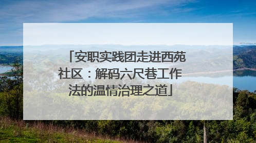 安职实践团走进西苑社区：解码六尺巷工作法的温情治理之道
