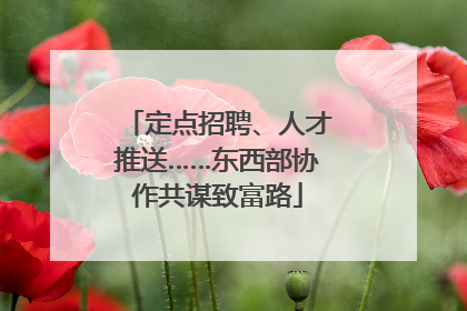 定点招聘、人才推送……东西部协作共谋致富路