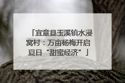 宜章县玉溪镇水浸窝村：万亩杨梅开启夏日“甜蜜经济”