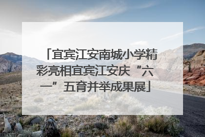 宜宾江安南城小学精彩亮相宜宾江安庆“六一”五育并举成果展