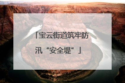 宝云街道筑牢防汛“安全堤”