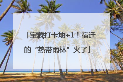 宝藏打卡地+1！宿迁的“热带雨林”火了