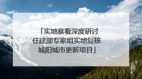 实地察看深度研讨 住建部专家组实地复核城阳城市更新项目