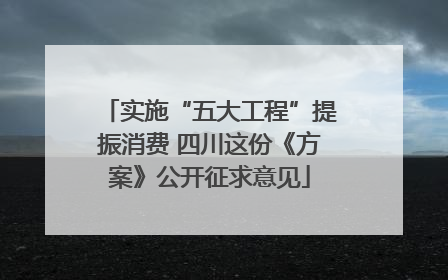 实施“五大工程”提振消费 四川这份《方案》公开征求意见
