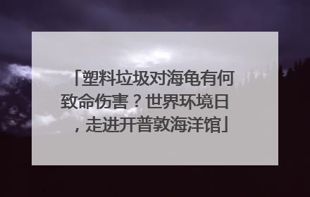 塑料垃圾对海龟有何致命伤害？世界环境日，走进开普敦海洋馆