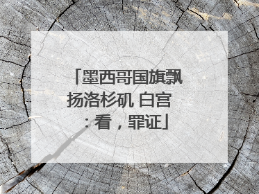 墨西哥国旗飘扬洛杉矶 白宫：看，罪证