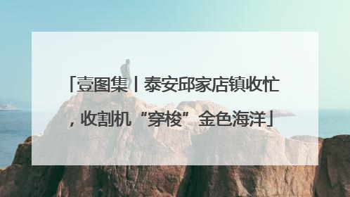 壹图集丨泰安邱家店镇收忙，收割机“穿梭”金色海洋
