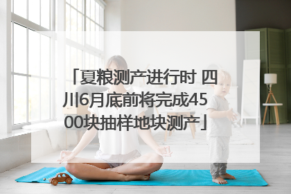 夏粮测产进行时 四川6月底前将完成4500块抽样地块测产