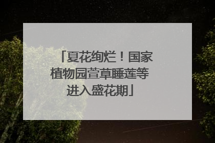 夏花绚烂！国家植物园萱草睡莲等进入盛花期