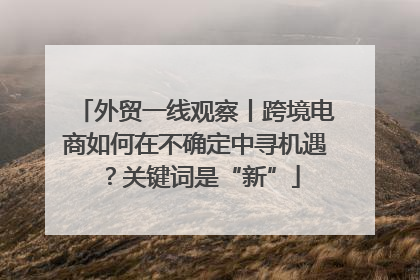 外贸一线观察丨跨境电商如何在不确定中寻机遇？关键词是“新”