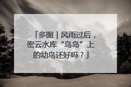 多图｜风雨过后，密云水库“鸟岛”上的幼鸟还好吗？