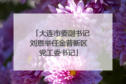 大连市委副书记刘恩举任金普新区党工委书记