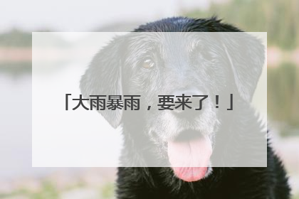 大雨暴雨，要来了！