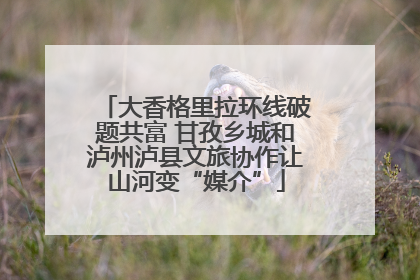 大香格里拉环线破题共富 甘孜乡城和泸州泸县文旅协作让山河变“媒介”