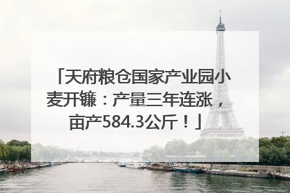 天府粮仓国家产业园小麦开镰：产量三年连涨，亩产584.3公斤！
