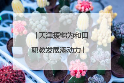 天津援疆为和田职教发展添动力