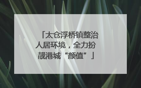 太仓浮桥镇整治人居环境，全力扮靓港城“颜值”