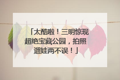 太酷啦！三明惊现超绝宝藏公园，拍照遛娃两不误！