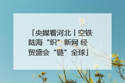 央媒看河北丨空铁陆海“织”新网 经贸盛会“链”全球