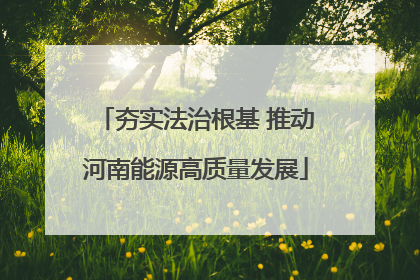 夯实法治根基 推动河南能源高质量发展