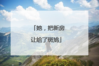 她，把新房让给了斑鸠