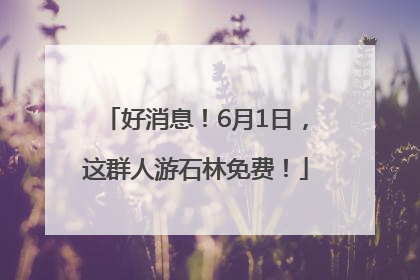 好消息！6月1日，这群人游石林免费！