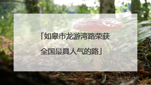 如皋市龙游湾路荣获全国最具人气的路