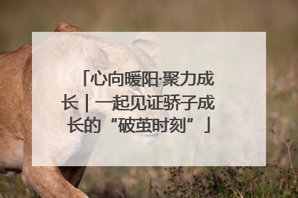 心向暖阳·聚力成长｜一起见证骄子成长的“破茧时刻”