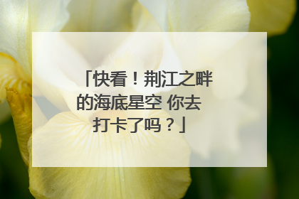 快看！荆江之畔的海底星空 你去打卡了吗？
