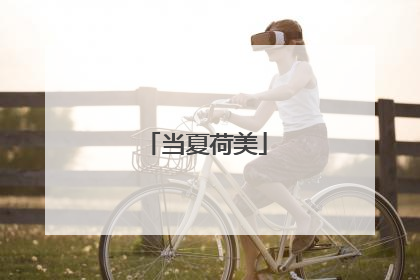 当夏荷美