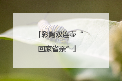 彩陶双连壶“回家省亲”