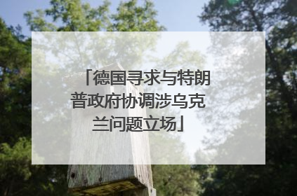 德国寻求与特朗普政府协调涉乌克兰问题立场