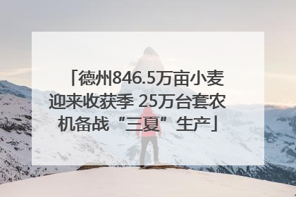 德州846.5万亩小麦迎来收获季 25万台套农机备战“三夏”生产