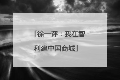 徐一评：我在智利建中国商城