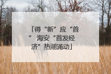 得“新”应“首” 海安“首发经济”热潮涌动